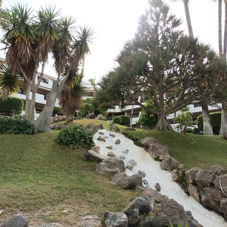 Estudio En Tenerife Con Piscina / Study Flat With Pool Διαμέρισμα Σαν Μιγκέλ ντε Αμπόνα Εξωτερικό φωτογραφία