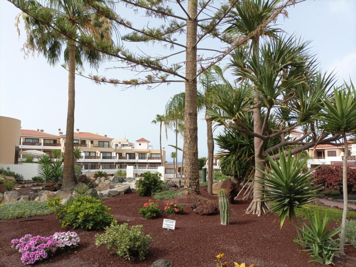 Estudio En Tenerife Con Piscina / Study Flat With Pool Διαμέρισμα Σαν Μιγκέλ ντε Αμπόνα Εξωτερικό φωτογραφία